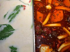 台式麻辣锅-湊湊火锅·茶憩(世博大道店)