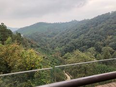 -安吉涵田度假村·水榭居中餐厅