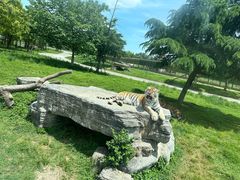 -上海野生动物园
