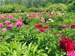 -长春公园(普阳街道)