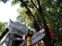 -塔云山