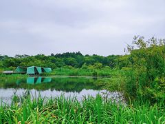 -西湖风景区-江洋畈生态公园