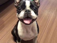 -烧蠔帮·生蚝海鲜牌档(观海店)