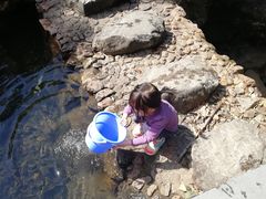 -藏龙百瀑风景区