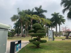 -石炮台公园