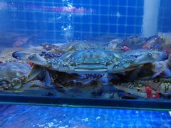 -海帮主·蒸汽海鲜青岛菜(栈桥火车站店)