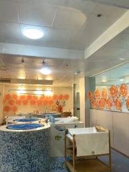 -童谣里医疗级月子中心(独栋湖景店)