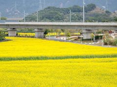 -光明小镇欢乐田园