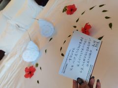 -三亚亚龙湾雅高铂尔曼别墅度假酒店