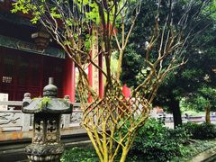-都江堰普照寺