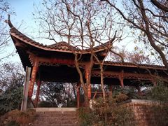 -杭州半山国家森林公园