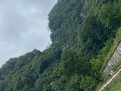 -牛背梁国家森林公园