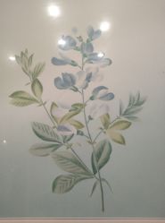 -颜蕾医美·黄金微针·水光·玻尿酸·超声炮·抗衰中心