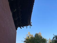 -善化寺