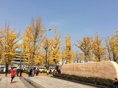 -百林公园-两江幸福广场