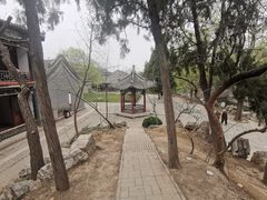 -莲池书院博物馆
