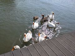 -杭州师范大学(下沙校区)