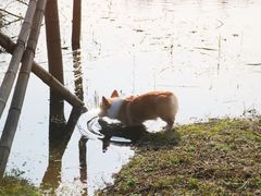 -洋湖国家湿地公园