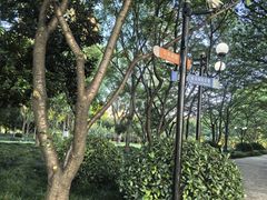 -陆家嘴中心绿地
