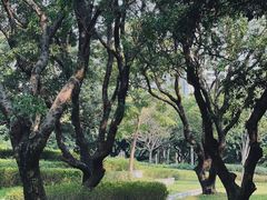 -四海公园(南山区)