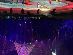 -广州长隆国际大马戏