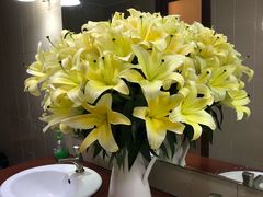 -农汤老店(顺联公园里店)