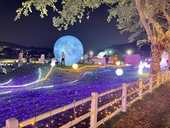 -光明农场大观园