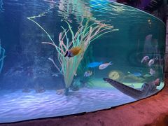 -沈阳海洋探索中心