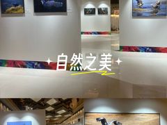 -西藏饭店·亚克·食光自助餐厅