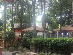 -二荆条·蜀鲜汇城市森林火锅