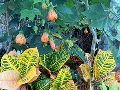 -北京植物园-展览温室