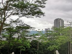 -梧桐山风景名胜区