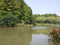-新江湾城公园