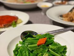 台湾山苏-遇外滩(BFC外滩金融中心店)