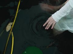 -洛阳市隋唐城遗址植物园