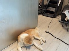 -YCHL Studios健身工作室(市二宫店)