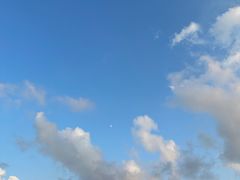 -碧海金沙