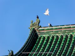-天津大悲禅院
