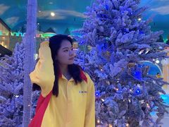 -世界之窗阿尔卑斯冰雪世界