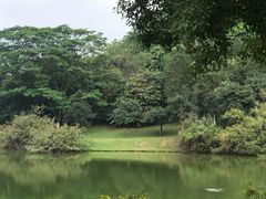 -东莞植物园