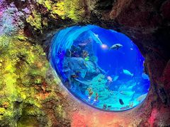 -沈阳海洋探索中心