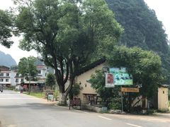 -村上春树