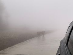-重庆云阳龙缸景区
