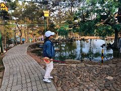 -西霞口神雕山野生动物世界