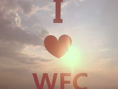 -WFC会仙楼观景台