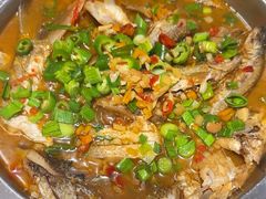 -全乐鱼馆·淳牌有机鱼直营店