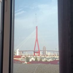 -复旦大学附属妇产科医院(杨浦院区)