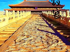 -故宫博物院(故宫)
