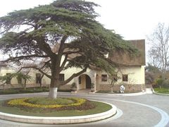 -北极阁公园