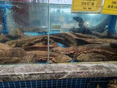 水产区-皇宫大酒店